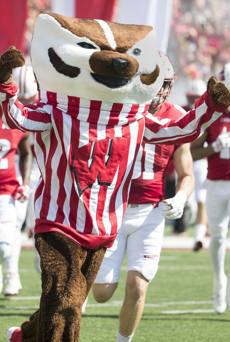 Bucky Badger 