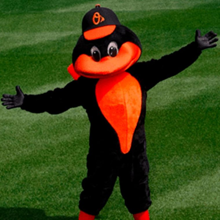 The Oriole Bird to join the Mascot Hall of Fame - WTOP News