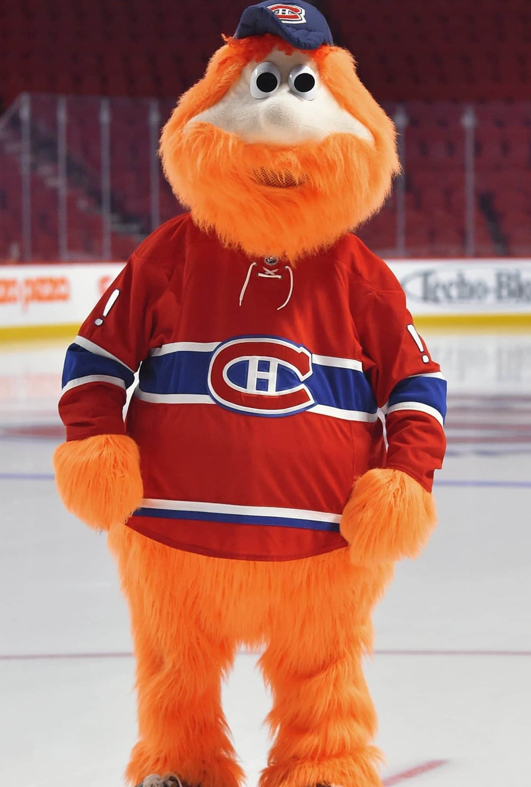 Youppi of the Canadiens de Montreal