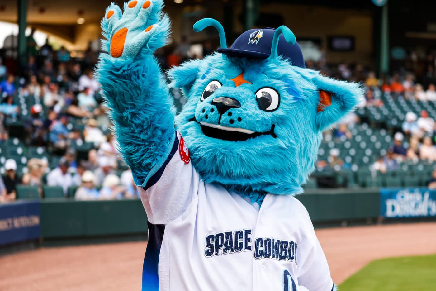 The Toronto Blue Jays are - Sugar's Mascot Costumes