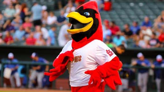 Rockey Memphis Redbirds Mascot During Baseball Editorial Stock Photo -  Stock Image