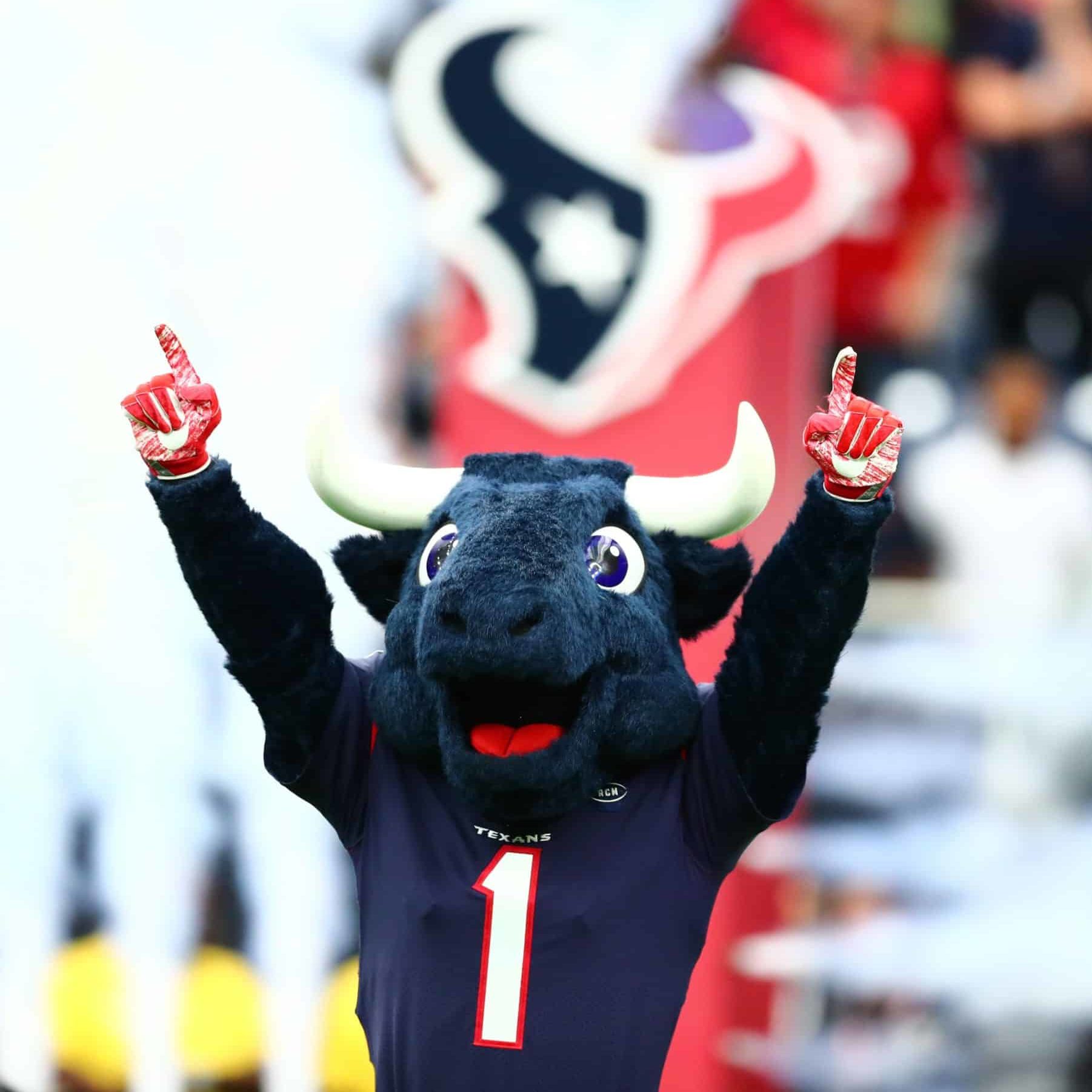 Who is Houston Texans' Mascot Toro?