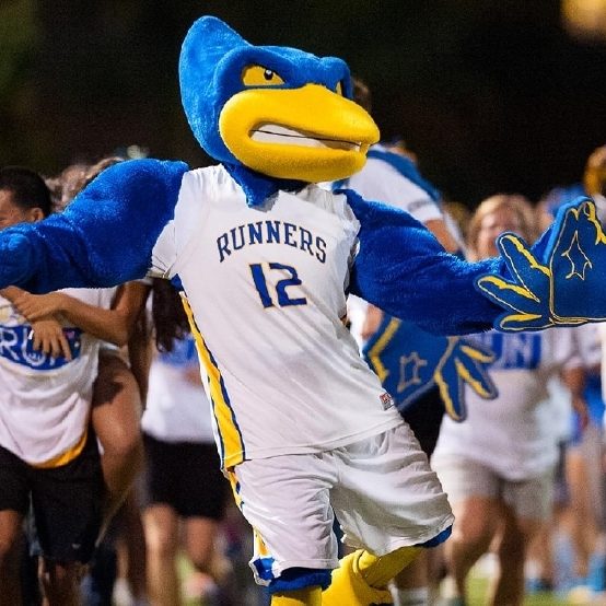 Big West mascots duke it out in Downtown Disney – Orange County