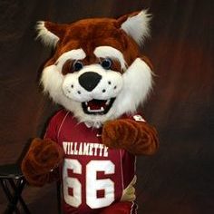 Blitz's Quest for Glory: Mascot Needs Your Vote for Hall of Fame