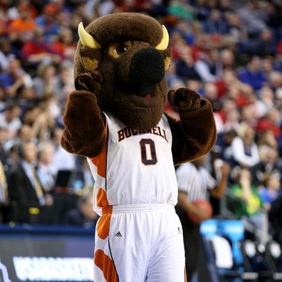 Bucky the Beaver  Mascot Hall of Fame