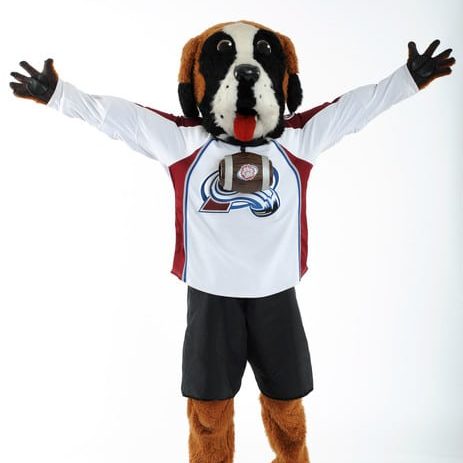 Bernie the Dog St. Bernard Colorado Avalanche Mascot Costume Animal