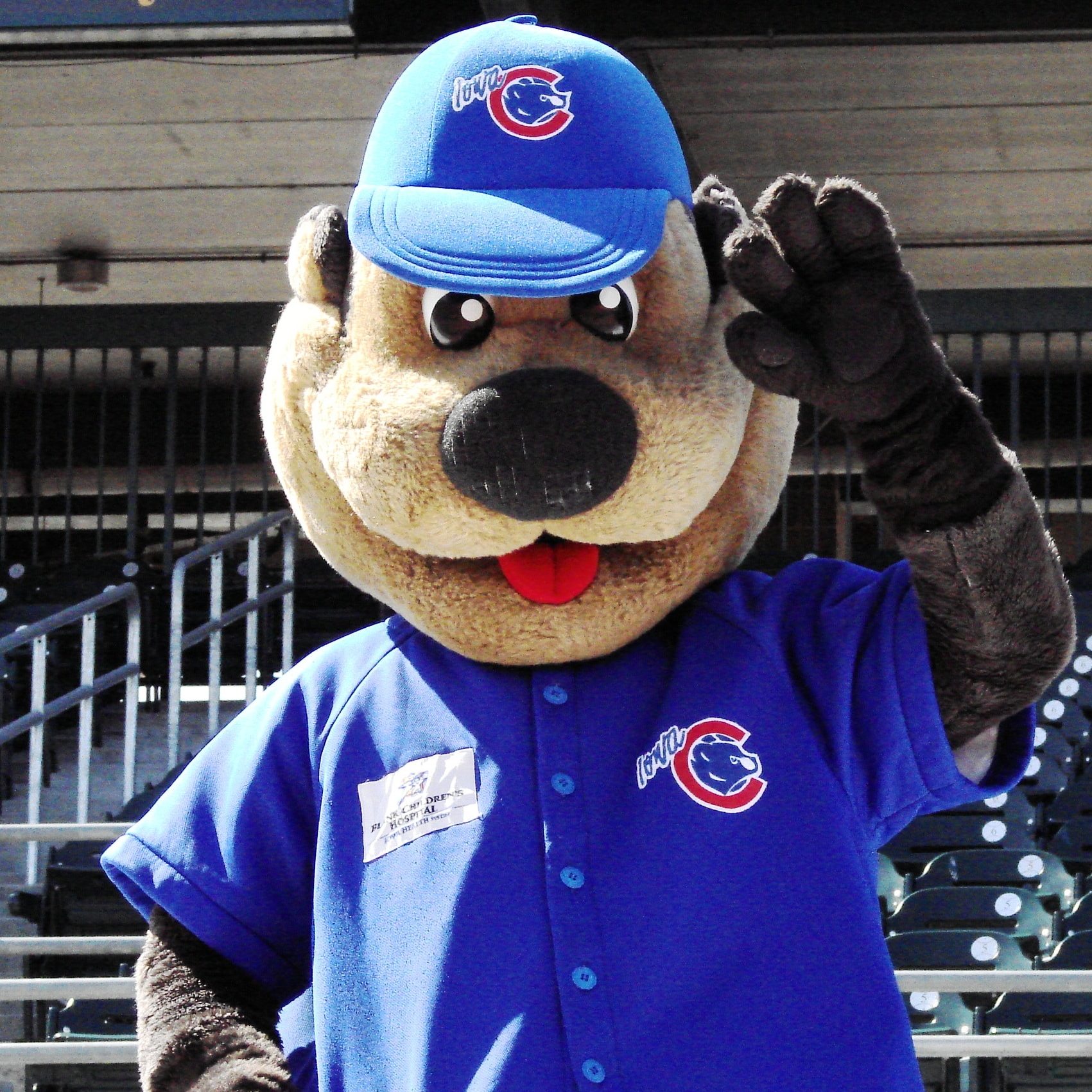 Iowa Cubs - 🎂IT'S CUBBIE'S BIRTHDAY!! Cubbie will be joined by his closest  friends/mascots from near and far to help us celebrate. His mascot friends  will take over Principal Park, as they