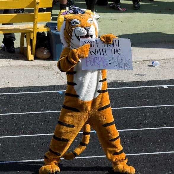 Tally the Tiger  Mascot Hall of Fame