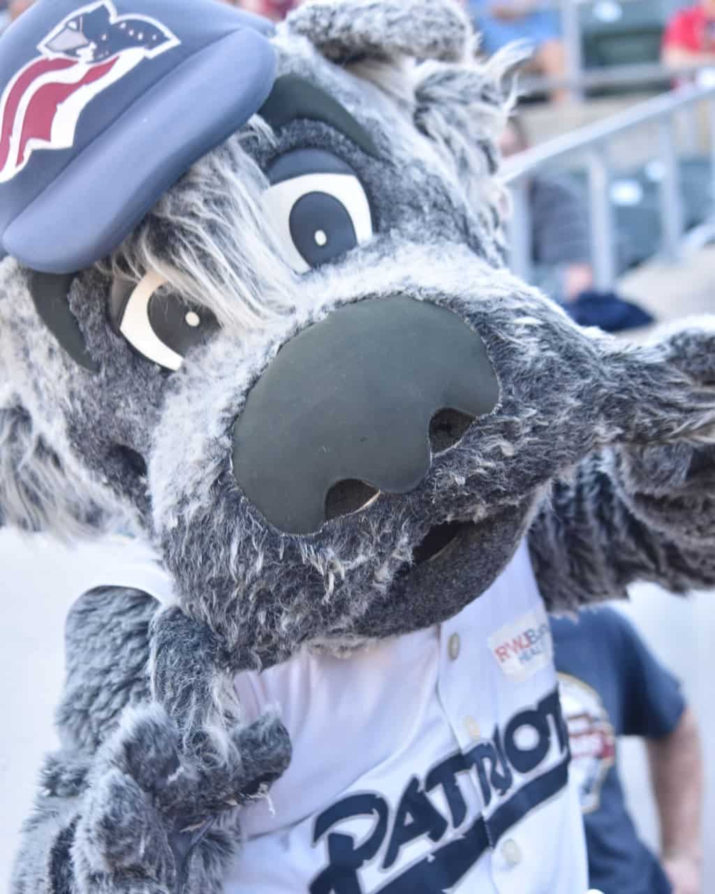 Minor league baseball team gets mascots: Chompers, Chew Chew