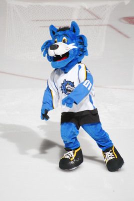 Stormy  Mascot Hall of Fame