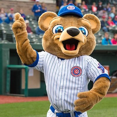 South Bend Cubs Plush Mascot Stu