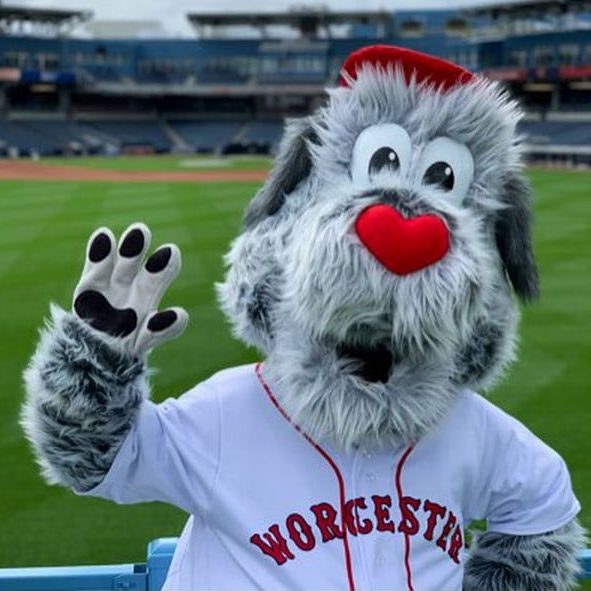 Rockey the Rockin' Redbird