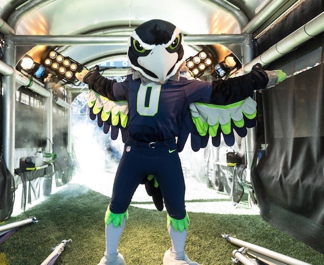 blitz seahawks