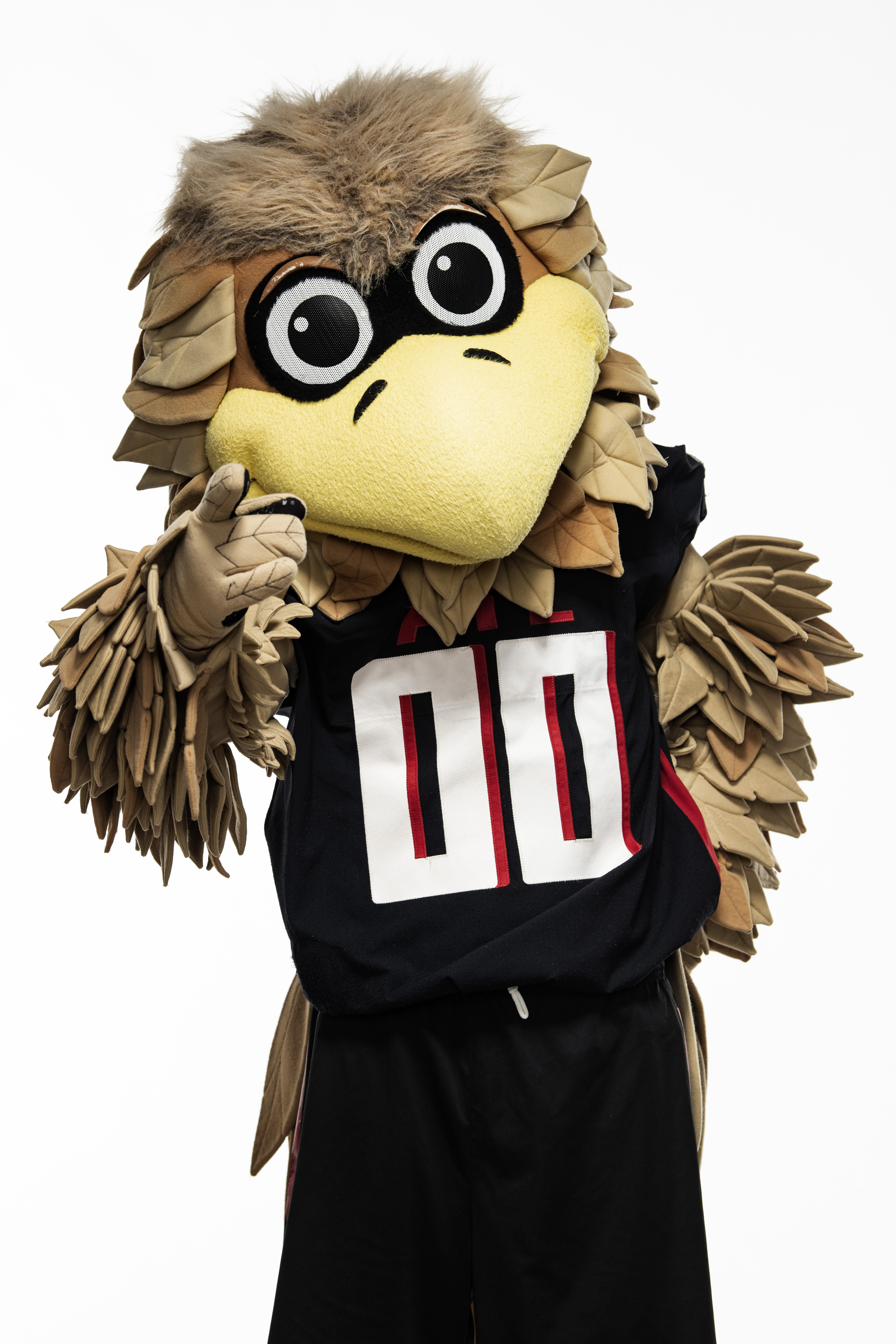 Falcons , Falcons Mascot , Falcons Cheer SVG PNG