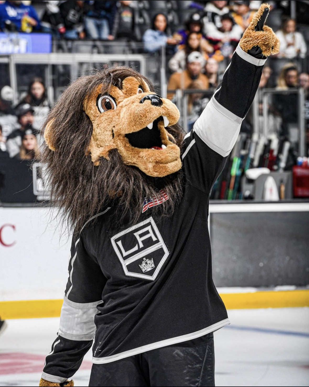 Bailey, the LA Kings Lion Mascot, 12-4-10, bloodyeyeballs