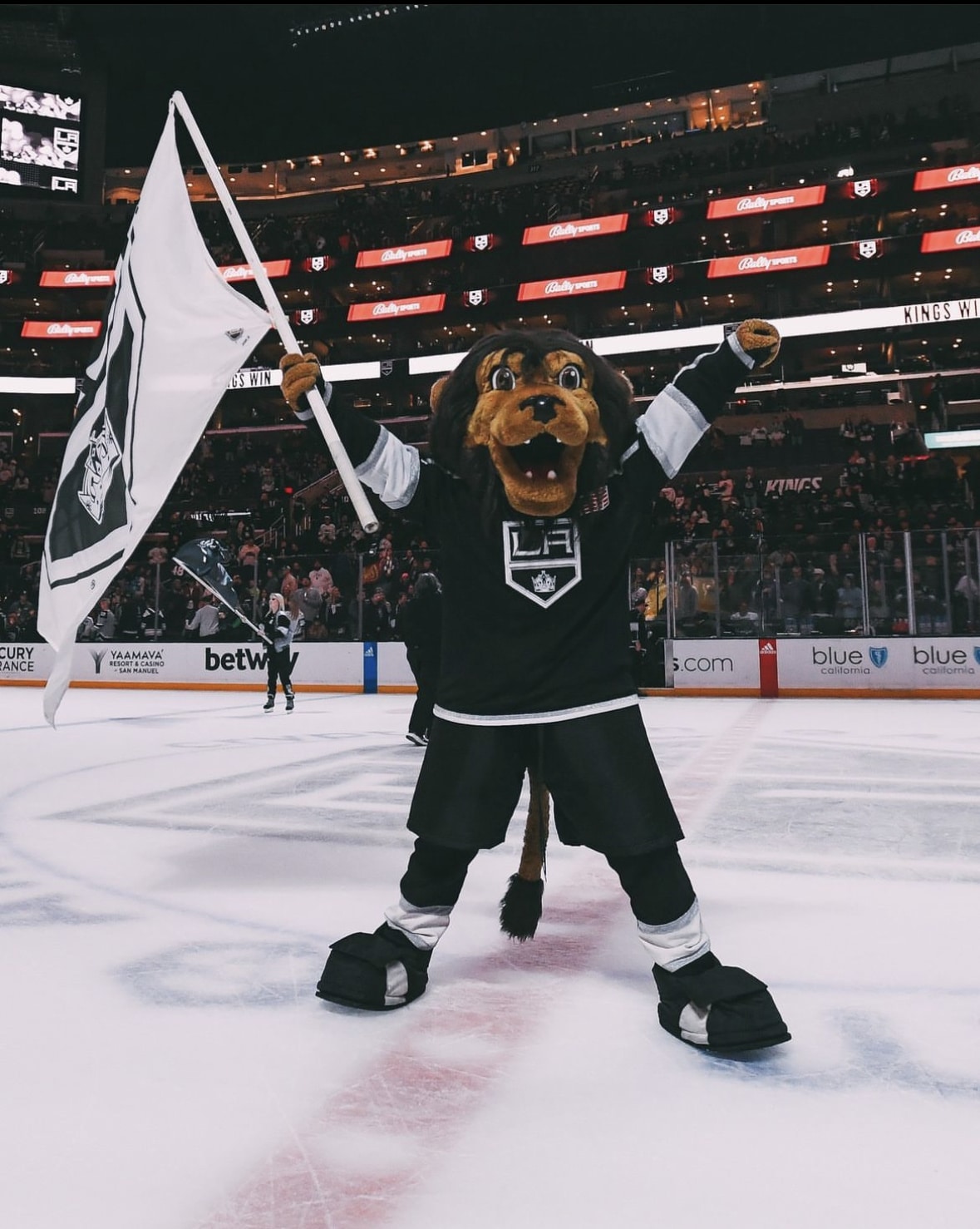 Bailey, the LA Kings Lion Mascot, 12-4-10, bloodyeyeballs