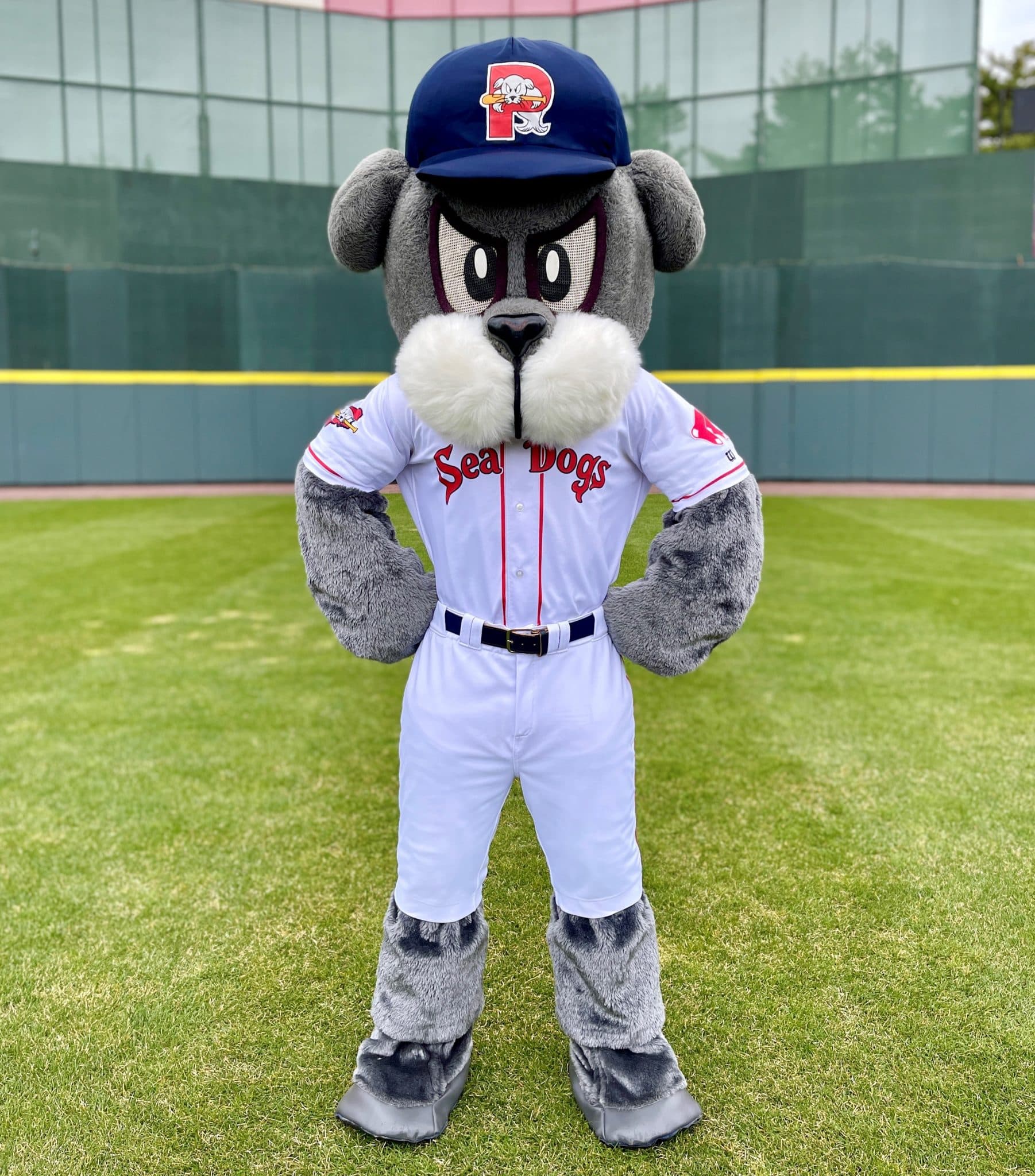 Lou Seal  Mascot Hall of Fame