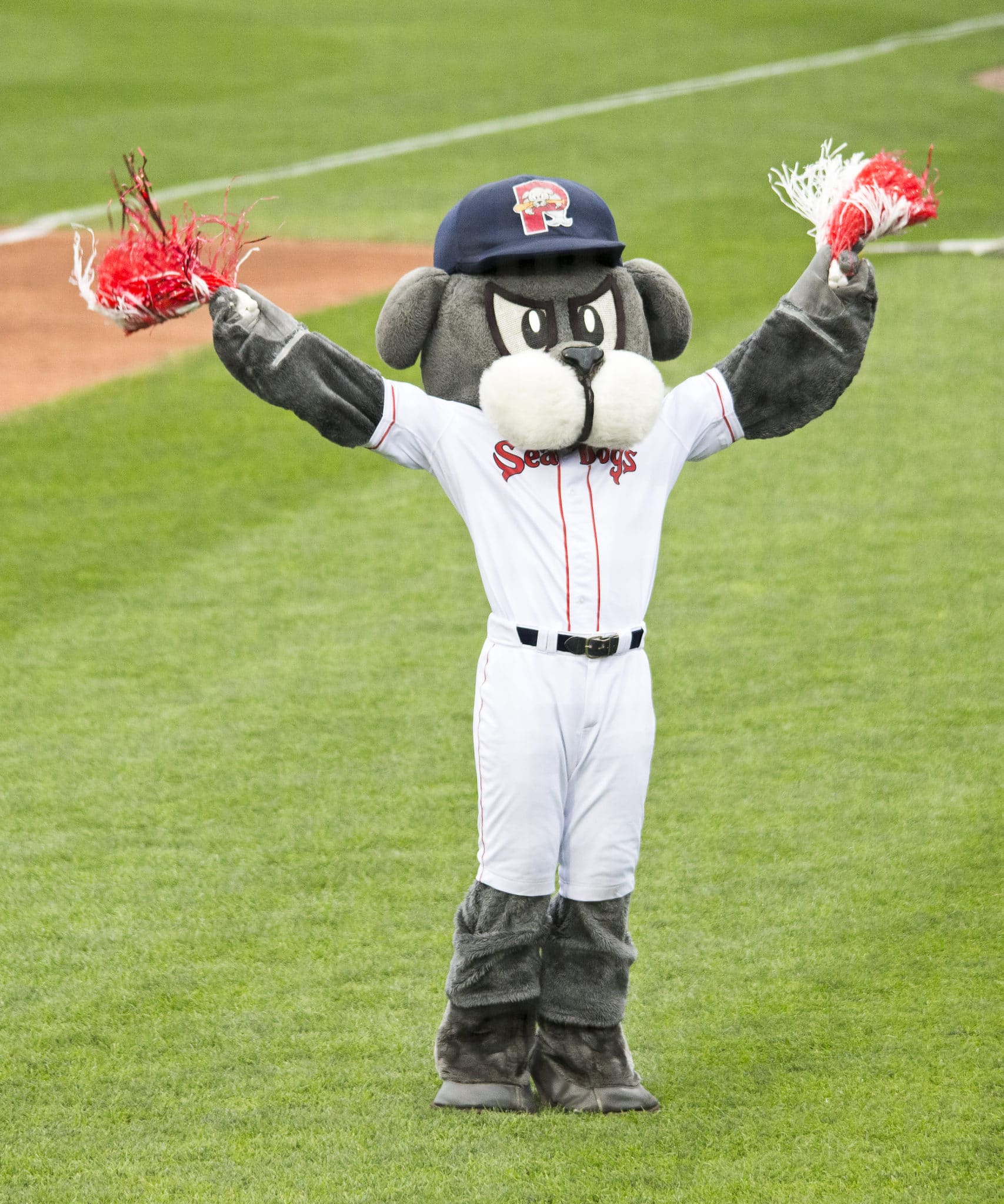 Portland Sea Dogs mascot, Slugger, races a young fan around the