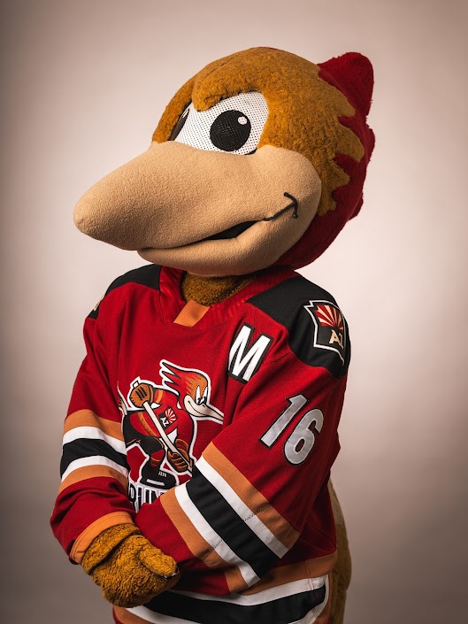 Vote for Homer the Dragon in Mascot Mania!