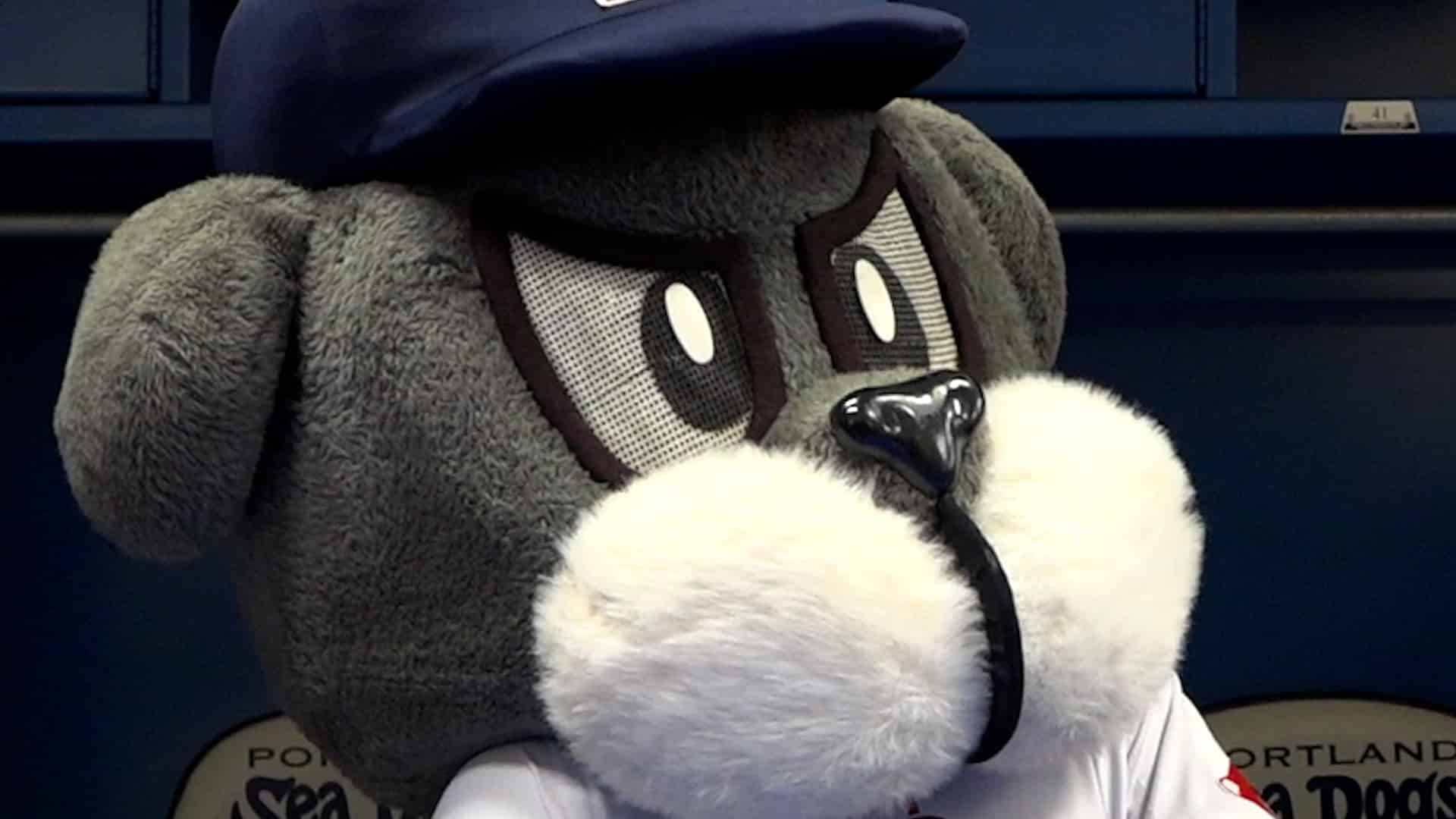 Look out Slapshot, you may have some competition as Caps' mascot