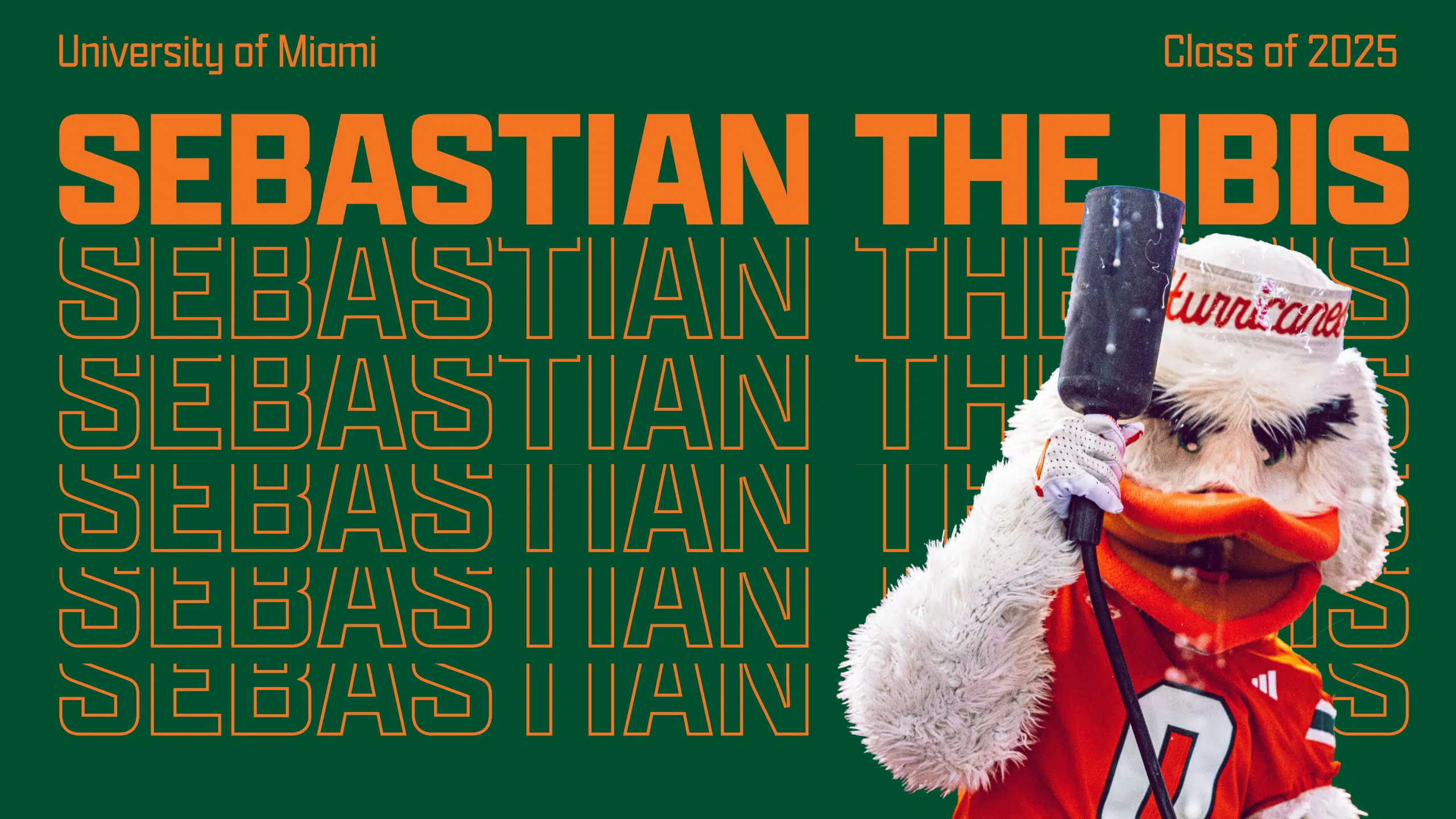 sebastian the ibis