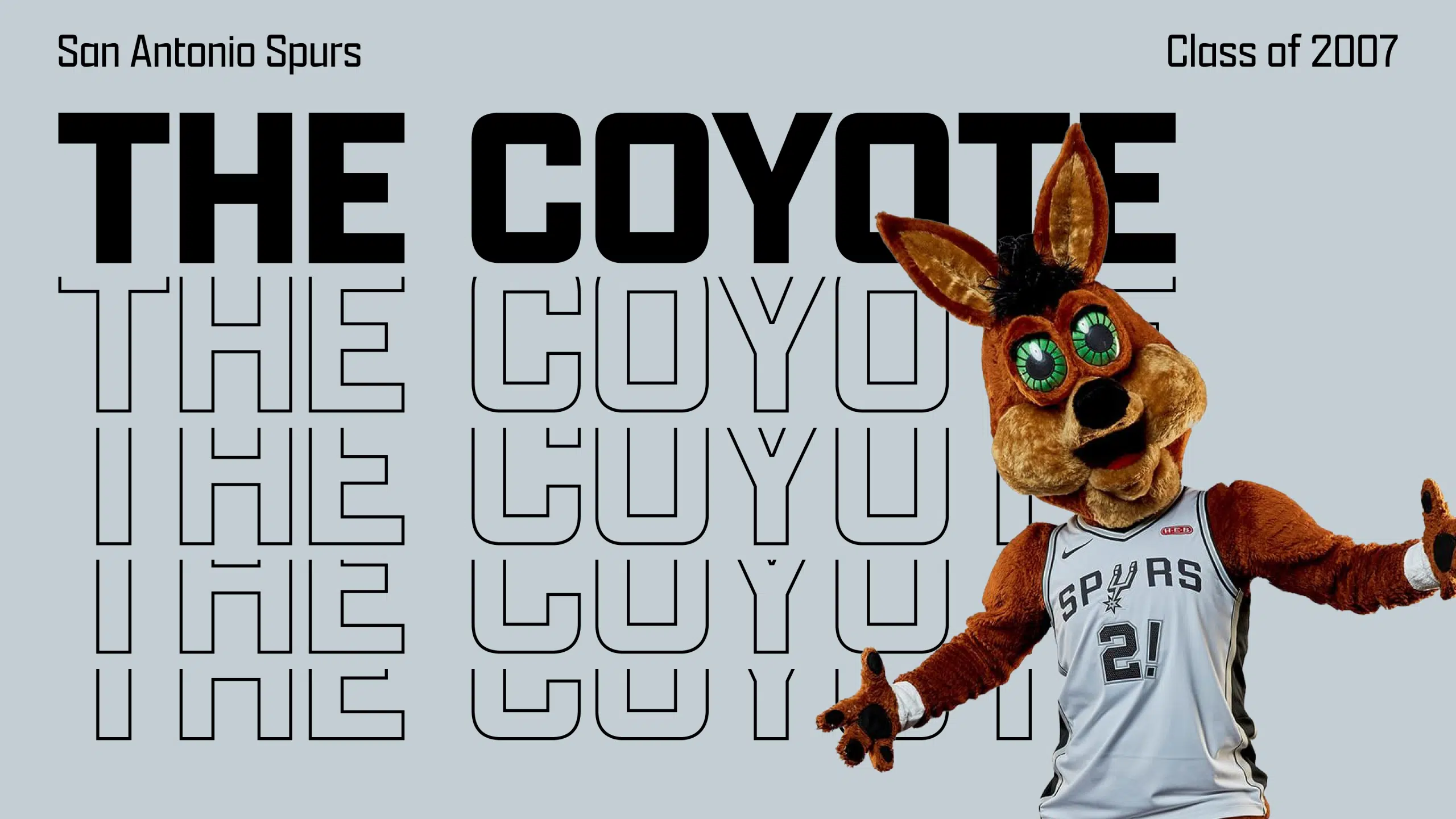 the coyote