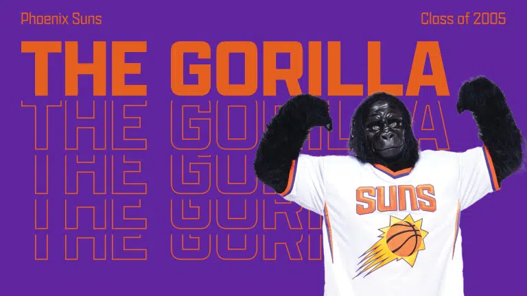 the gorilla