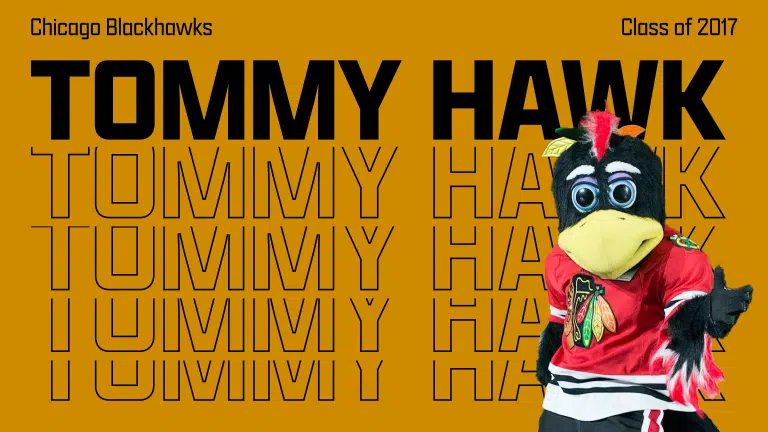tommy hawk