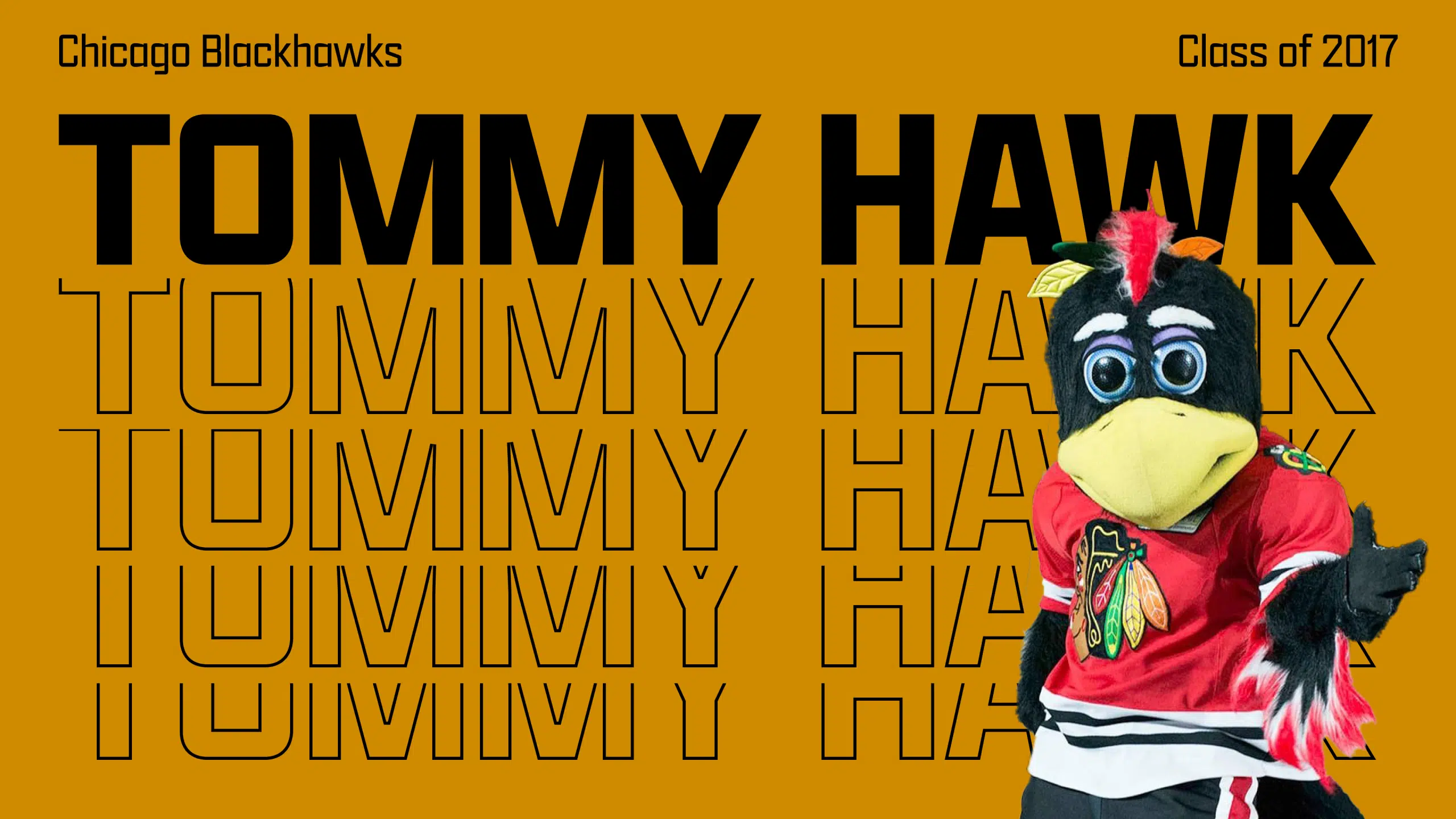 tommy hawk