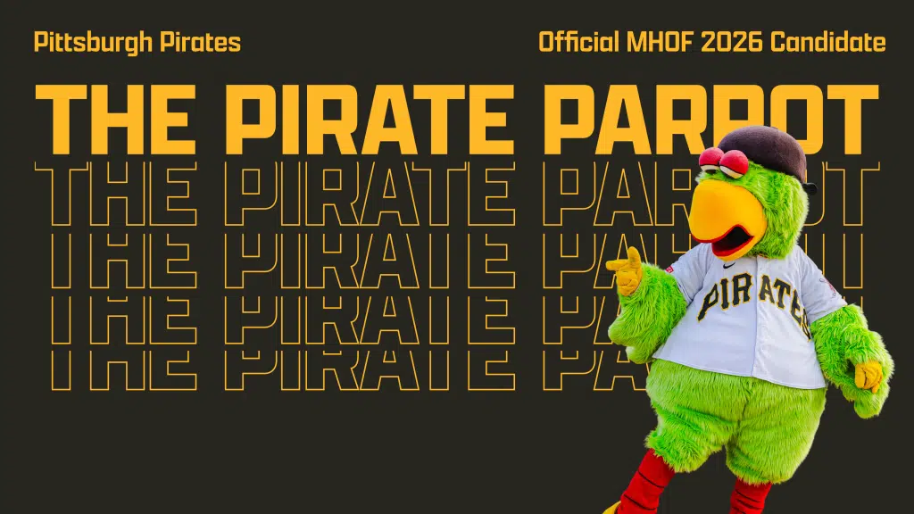 the pirate parrot