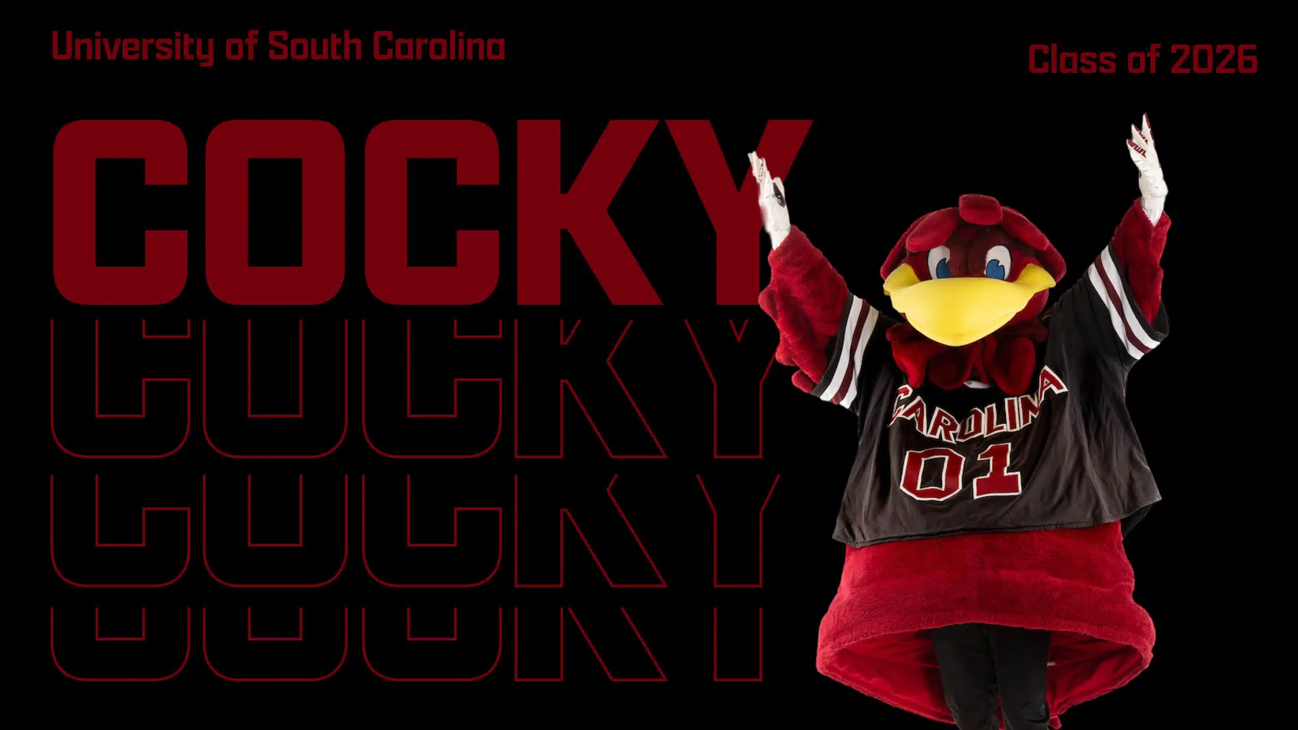 University of South Carolina mascot Cocky in a jersey poses with one arm raised; bold COCKY text in the background, and Class of 2026 in the top corners.