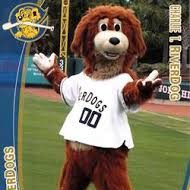 Charleston RiverDogs