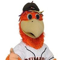 Delmarva Shorebirds