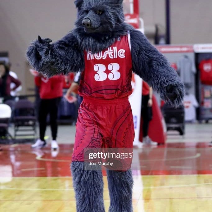 SOUTHAVEN, MS - FEBRUARY 6: Grizz, Mascot of the Memphis Grizzlies, entertains fans during a game between the Oklahoma City Blue and the Memphis Hustle during an NBA G-League game on February 6, 2020 at Landers Center in Southaven, Mississippi.  NOTE TO USER: User expressly acknowledges and agrees that, by downloading and or using this photograph, User is consenting to the terms and conditions of the Getty Images License Agreement. Mandatory Copyright Notice: Copyright 2020 NBAE (Photo by Joe Murphy/NBAE via Getty Images)