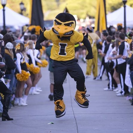 Herky performs during the Beat State Pep Rally Friday, Sept. 12, 2014 on the Pentacrest.  (Brian Ray/hawkeyesports.com)