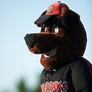 Batavia Muckdogs mascot Homer during a game against the State College Spikes on June 24, 2016 at Dwyer Stadium in Batavia, New York.  State College defeated Batavia 10-3.  (Mike Janes/Four Seam Images)