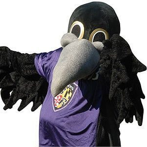 Ravens Nfl