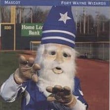 Wayne The Wizard