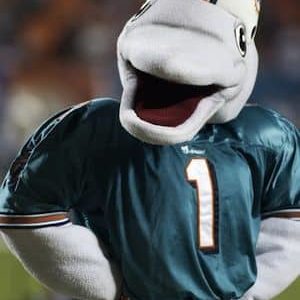 Dolphins Nfl
