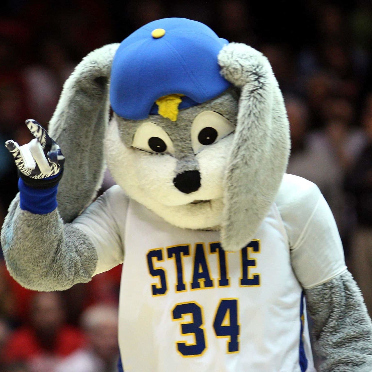 ALBUQUERQUE, NM - MARCH 15: The South Dakota State Jackrabbits mascot walks on the court against the Baylor Bears during the second round of the 2012 NCAA Men's Basketball Tournament at The Pit on March 15, 2012 in Albuquerque, New Mexico.  (Photo by Ronald Martinez/Getty Images)