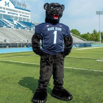 The new costume for "Bananas T. Bear," the mascot for the University of Maine Black Bears, was unveiled for the first time during Saturday's football game at Morse Field in Orono.