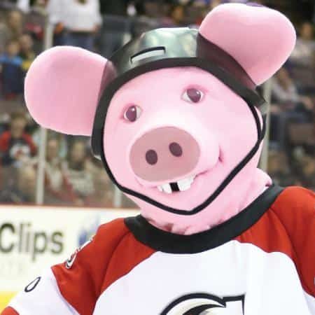 Porkchop