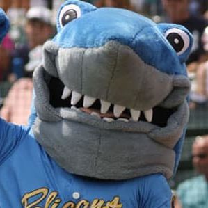 Rallyshark
