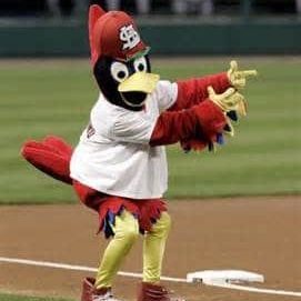 Fredbird - St Louis Cardinals 