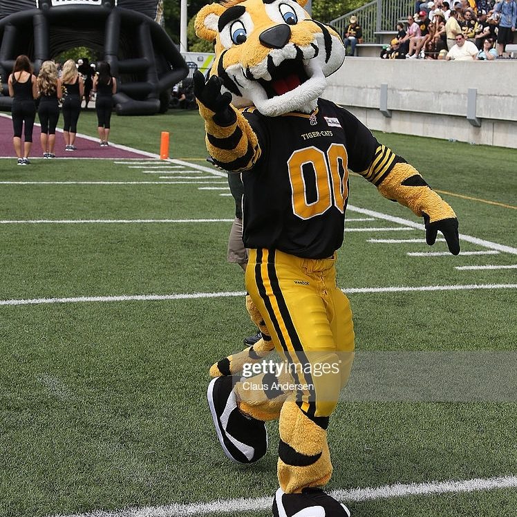 HAMILTON, ON - JUNE 14:  Hamilton Tiger-Cats mascot stripes leads the team against the Montreal Alouettes during a pre-season CFL football game at Ron Joyce Stadium on June 14, 2014 in Hamilton, Ontario, Canada. The Tiger-Cats defeated the Alouettes 28-23. (Photo by Claus Andersen/Getty Images)
