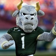 South Florida mascot "Rocky" before an NCAA college football game against McNeese State Saturday, Aug. 31, 2013, in Tampa, Fla. (AP Photo/Chris O'Meara)