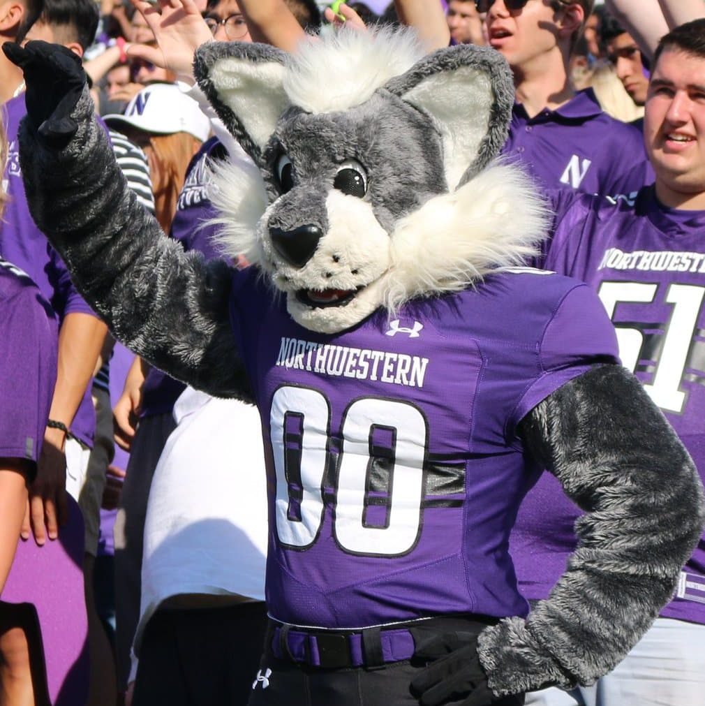 Willie the Wildcat | Mascot Hall of Fame